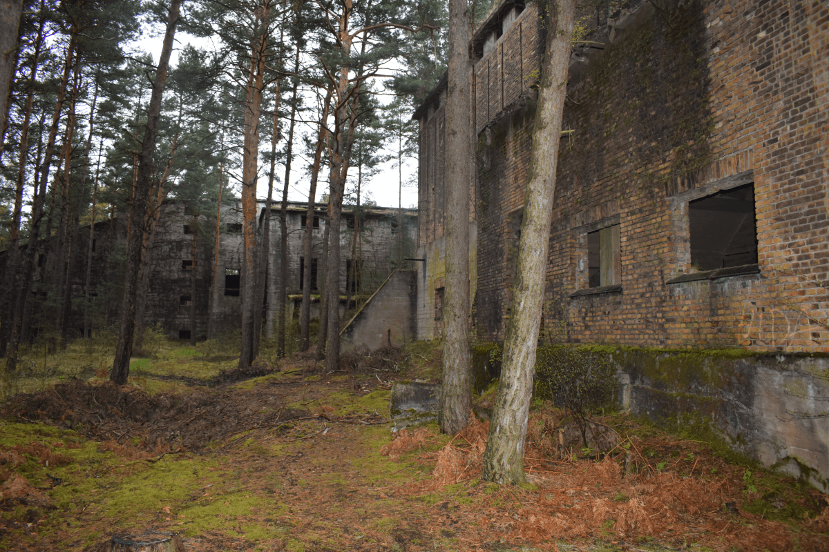 The Abandoned WWII Munition Factory in the Middle of a Wood (image ...