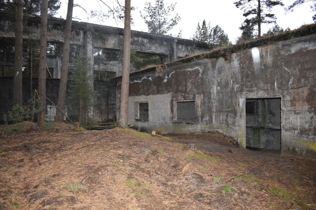 The Abandoned WWII Munition Factory in the Middle of a Wood (image ...