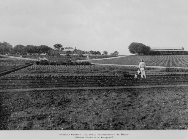 A man working in a field.