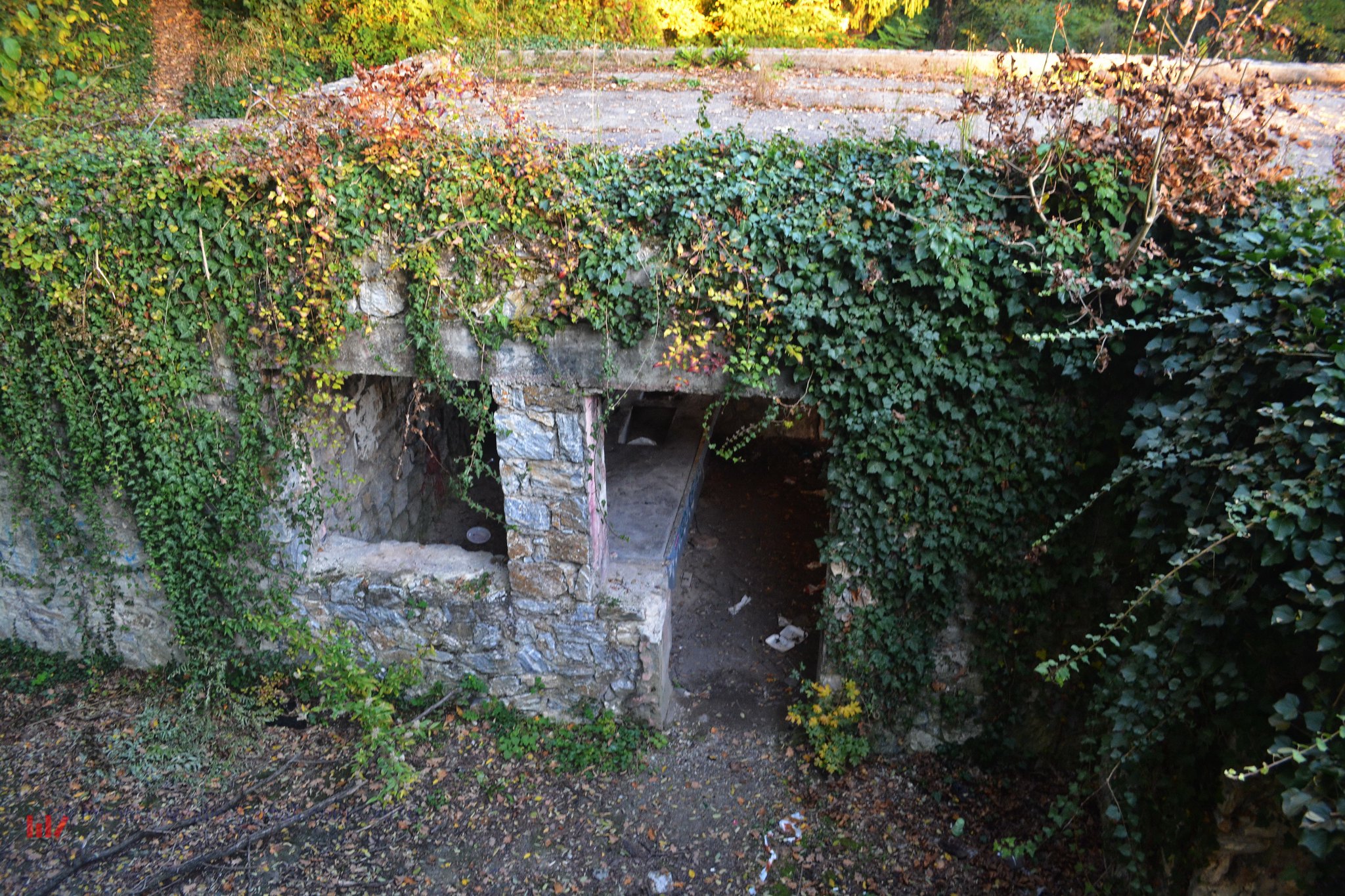 Ruins of the Villa Rebar Which Once Housed a Croatian Dictator ...