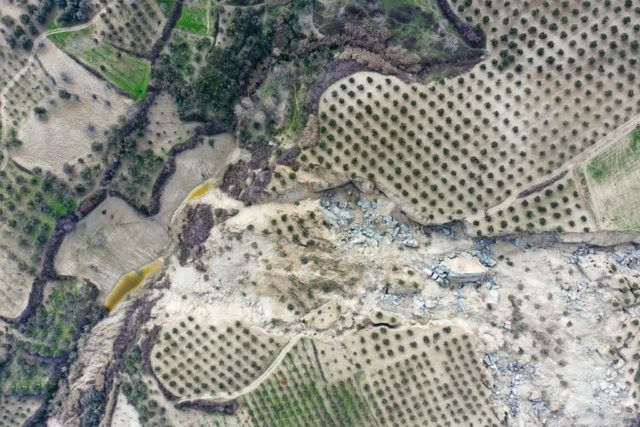 Overhead view of the affected olive grove