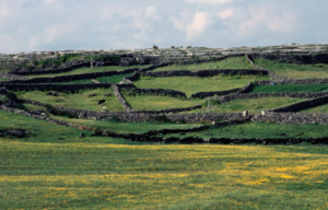 Stone walls running across a grassy hill