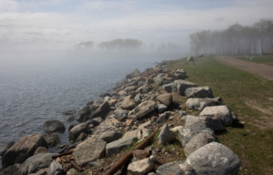 A rocky shore with fog.