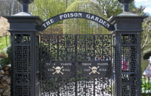 Front gate of the Poison Garden.