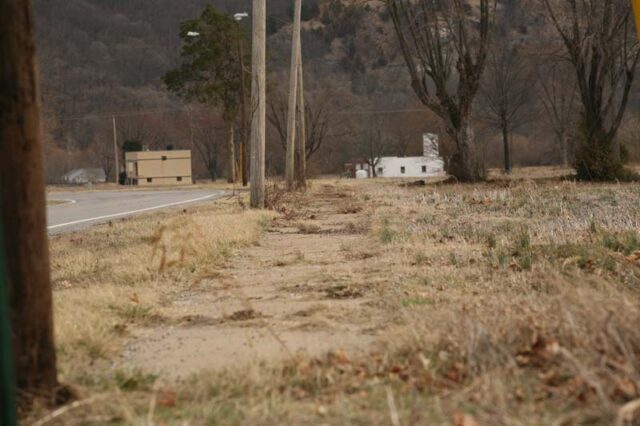 Dead grass along an empty roadway