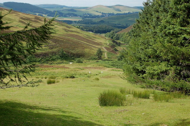 Overview of Scottish farmland.