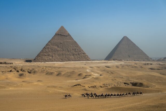 Camels walking past two ancient Egyptian pyramids