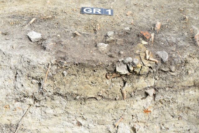 Skeletal remains at an excavation site