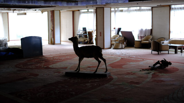 Deer statue and furniture in a dimly-lit room