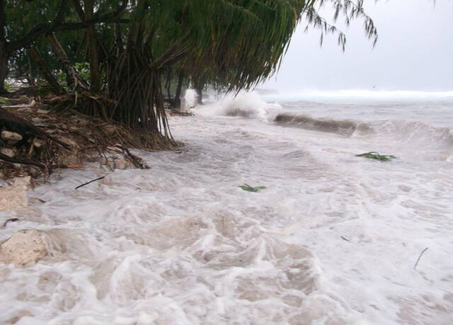 Ocean waves coming ashore near trees