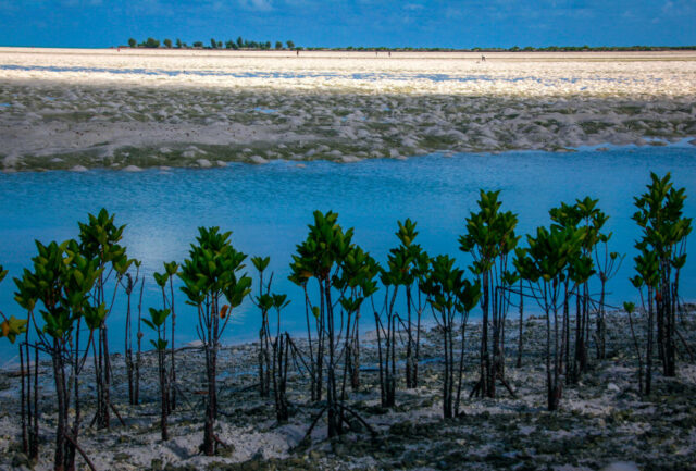 View of the mud flats on the Tarawa Atoll