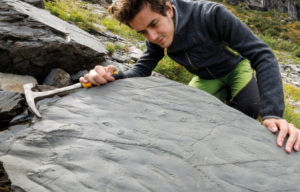 Man looking at fossils on the surface of a rock