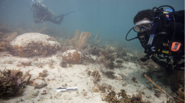 Kamau Sadiki and another diver swimming just above the seafloor