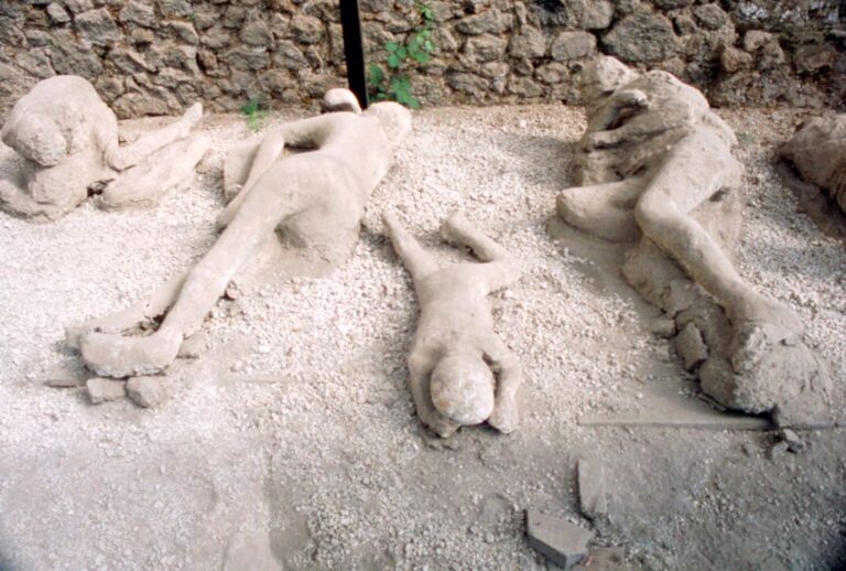 DNA Analysis Contradicts Long-Held Beliefs About Pompeii Victims ...