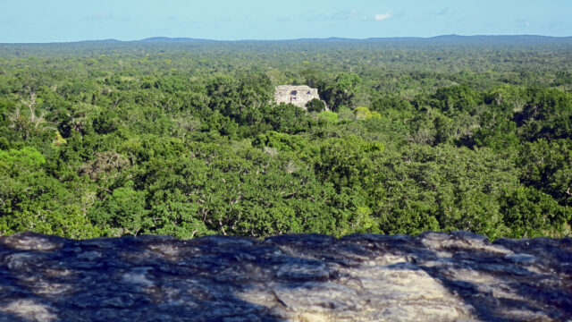 View of the ancient site where Calakmul, Campeche once stood